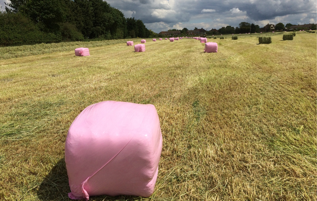 Pink-Haylage-bales-IMG_6961.jpg