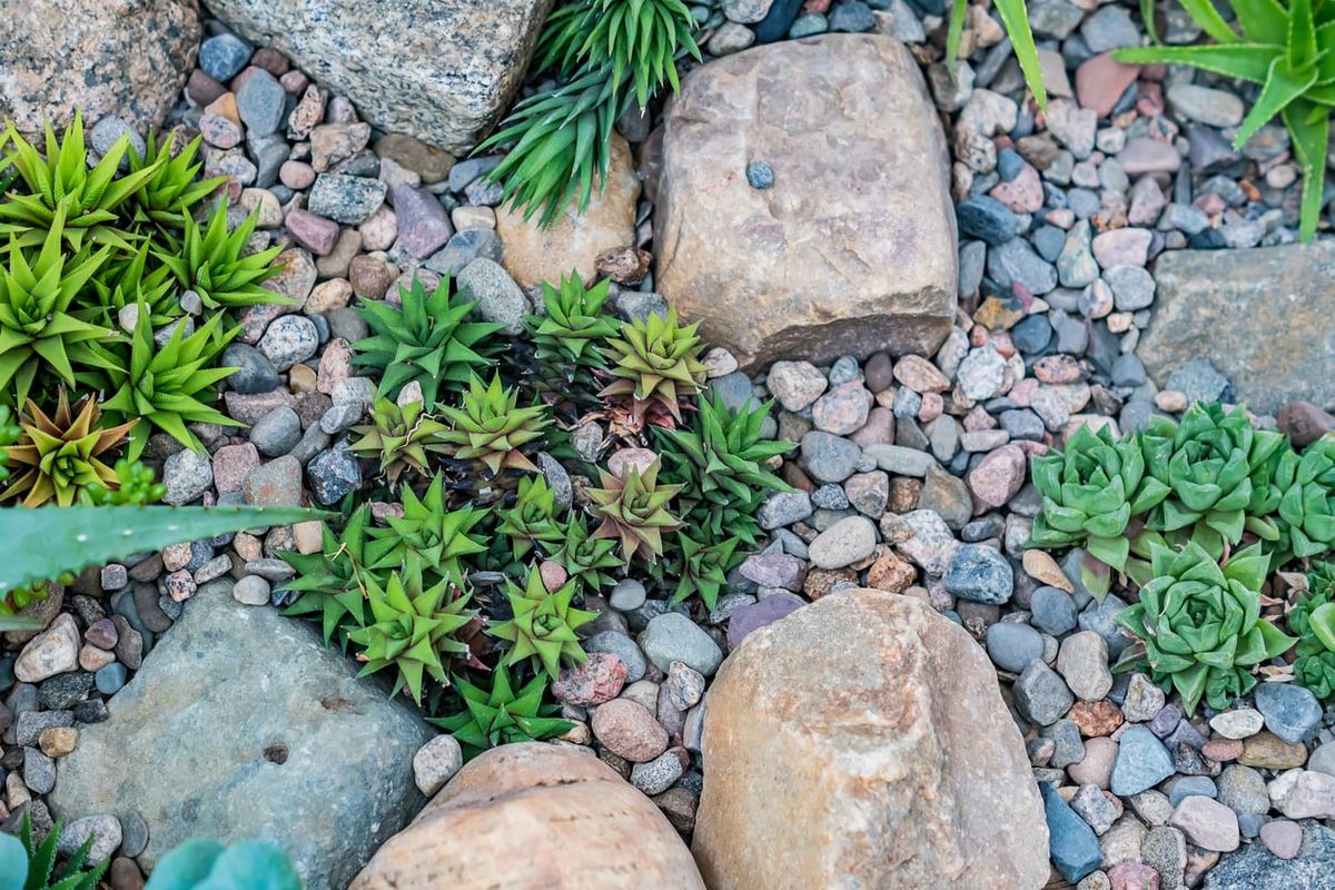 stone box planters Shell Box Planter  Massarelli Lawn Ornaments