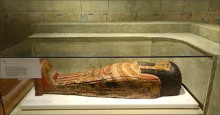 mummies exhibit