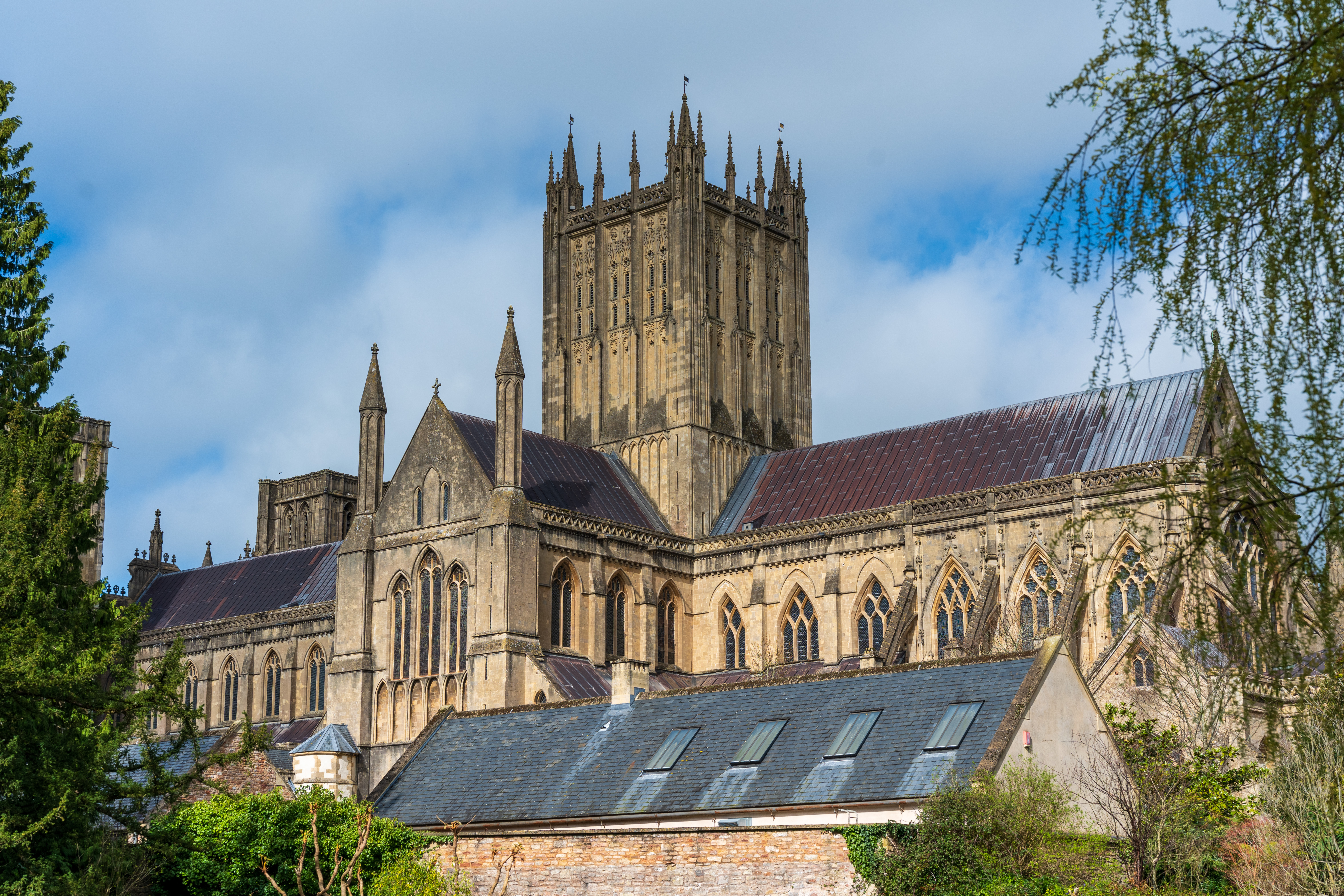 Viltrox AF 55mm f/1.8 Evo sample image