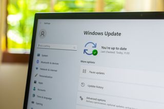 Windows 11 updates window