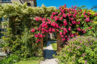 front garden with roses climbing over archway and plants over the wall