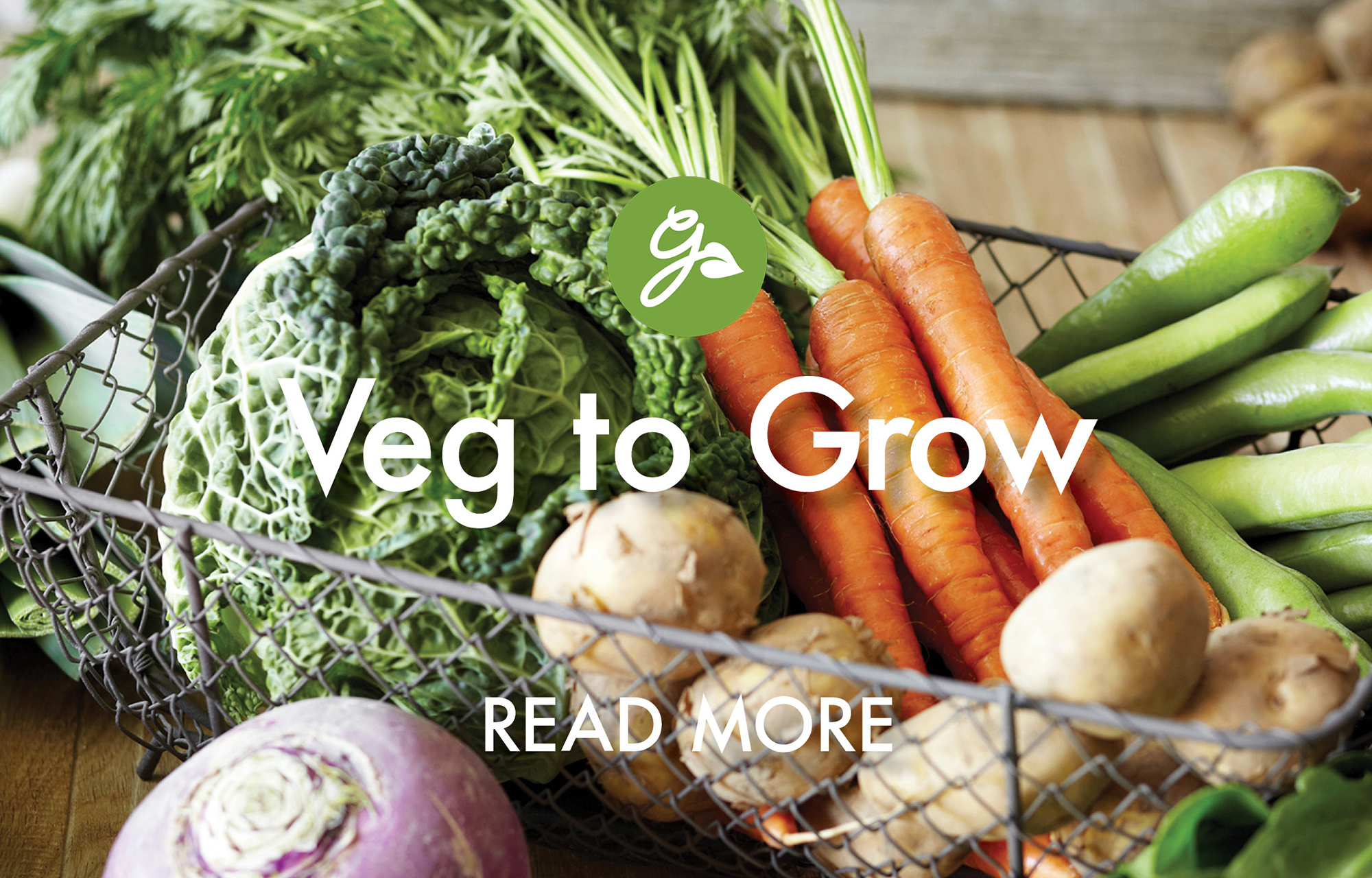 Read more about vegetables to grow in January. Image shows a basket of winter veg