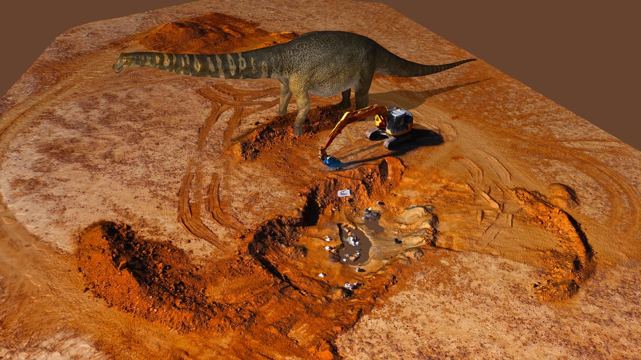 A digital image of the newly described dinosaur, Australotitan cooperensis, next to its dig site.