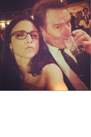 Julia Louis Dreyfus And Bryan Cranston SAG Awards 2014 Instagram photos