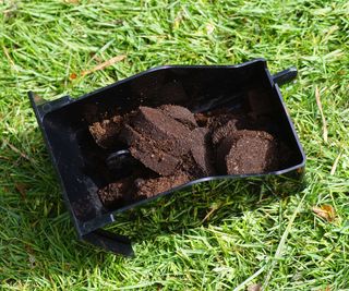 coffee grounds in a box on lawn