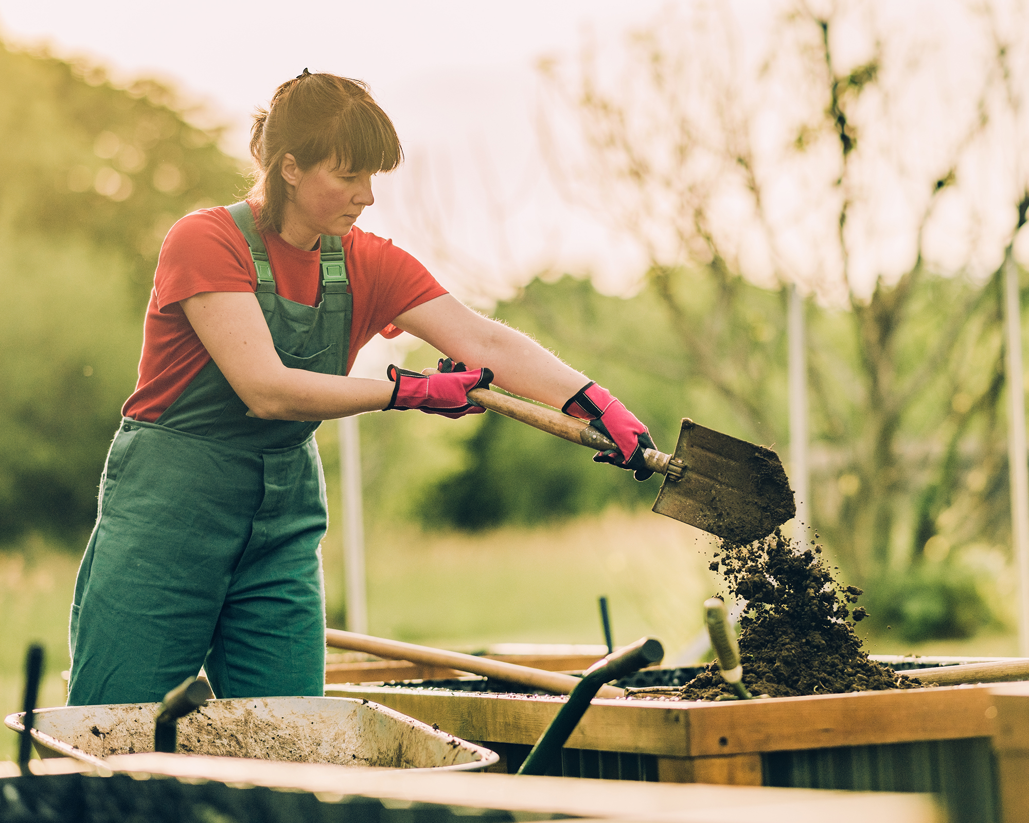 Woman filling raised bed with soil