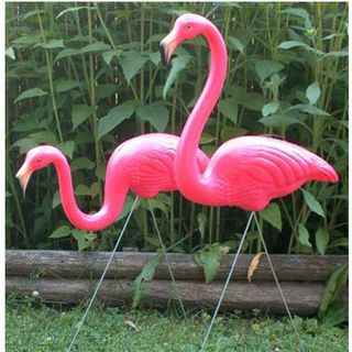 Two pink flamingos on green grass