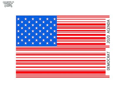 Political Cartoon U.S. Democrat 2020 Agenda US Flag Price Tag
