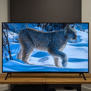 Panasonic W90A 65-inch TV