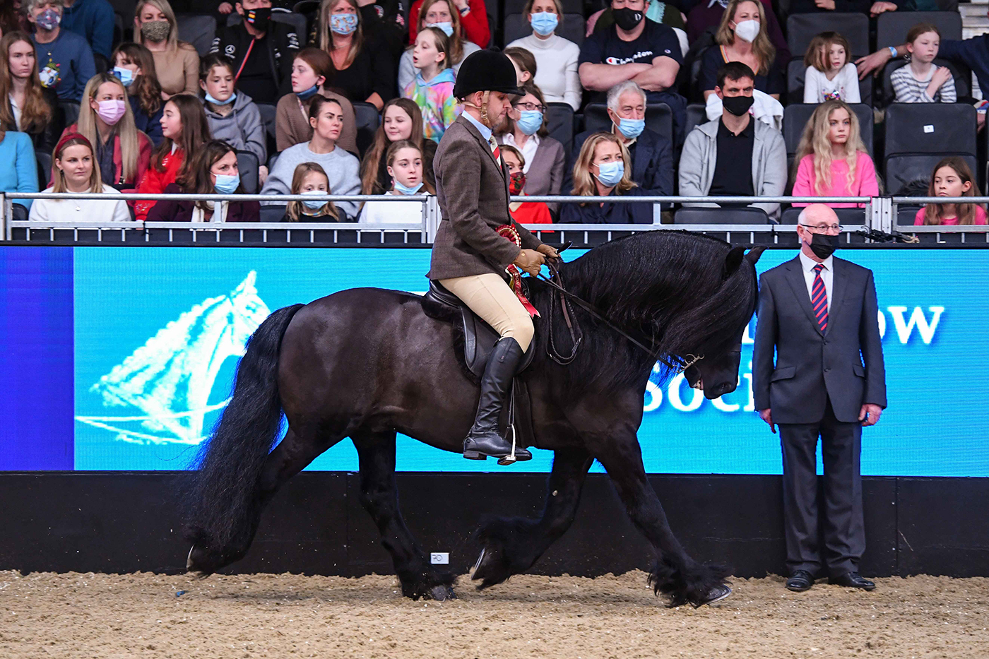 HorseNo13_LIHS_PN21_4845