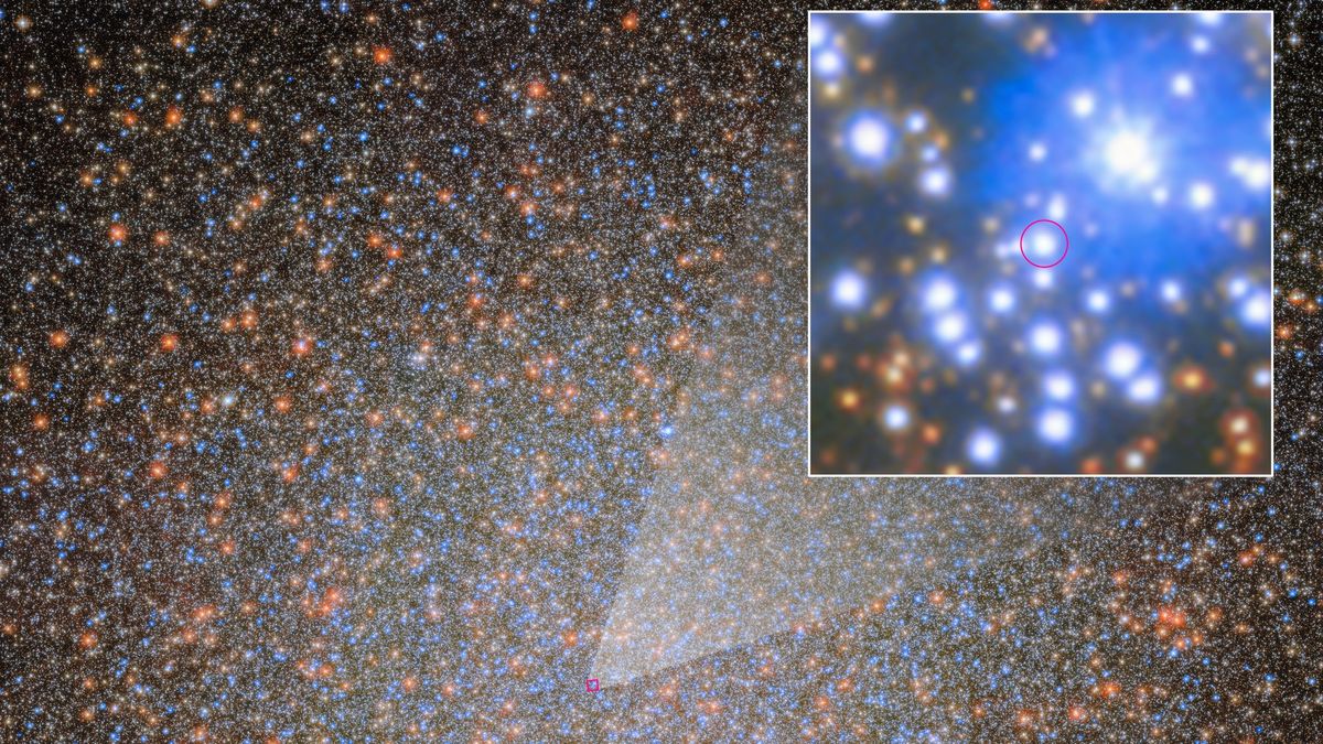 The 1st of 10,000 'missing' black holes in the Omega Centauri star cluster has been found by the Hubble and James Webb space telescopes