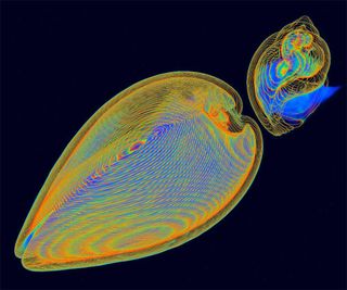 science visualization winners