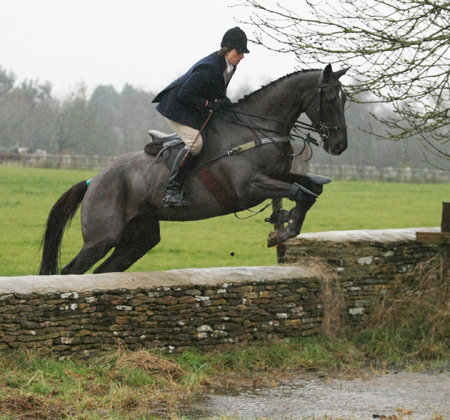 denman%20wall%20copy.jpg