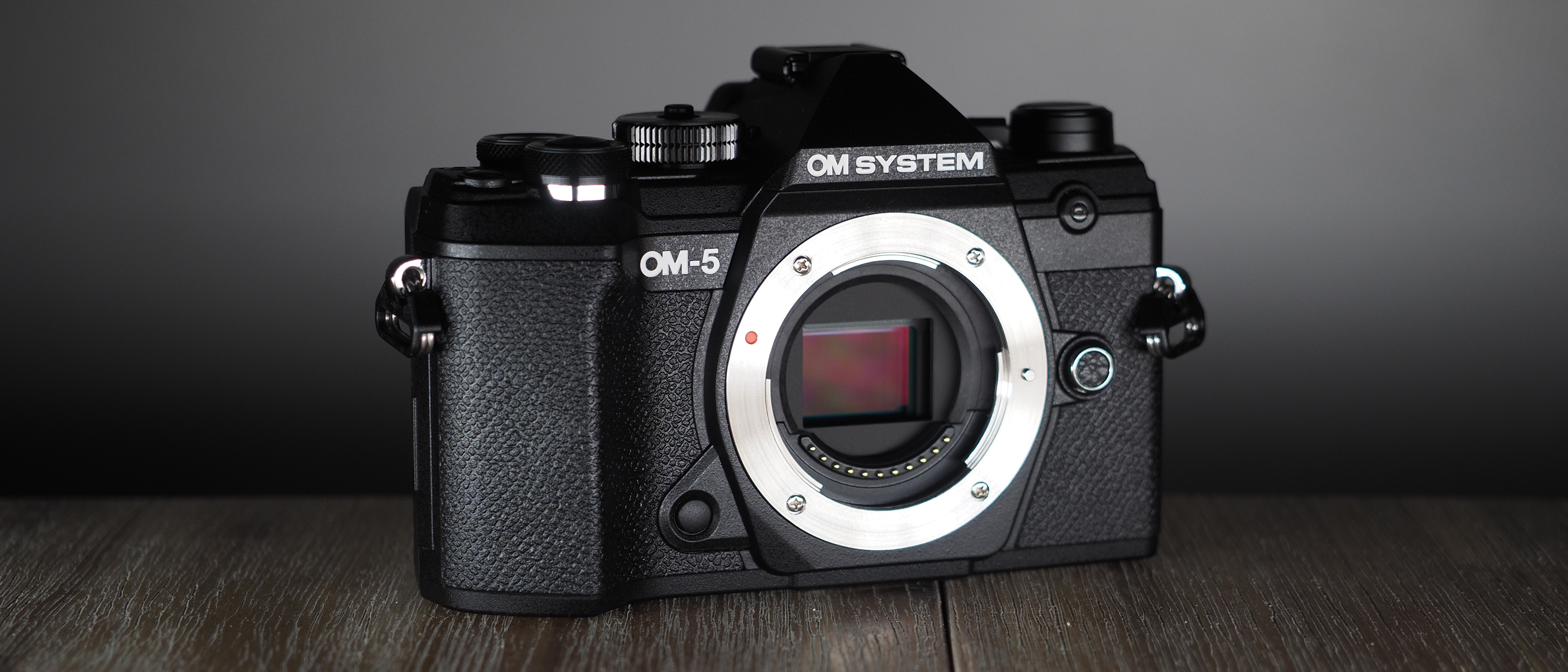 OM system OM-1 vs OM-5 - The 10 Main Differences - Mirrorless Comparison