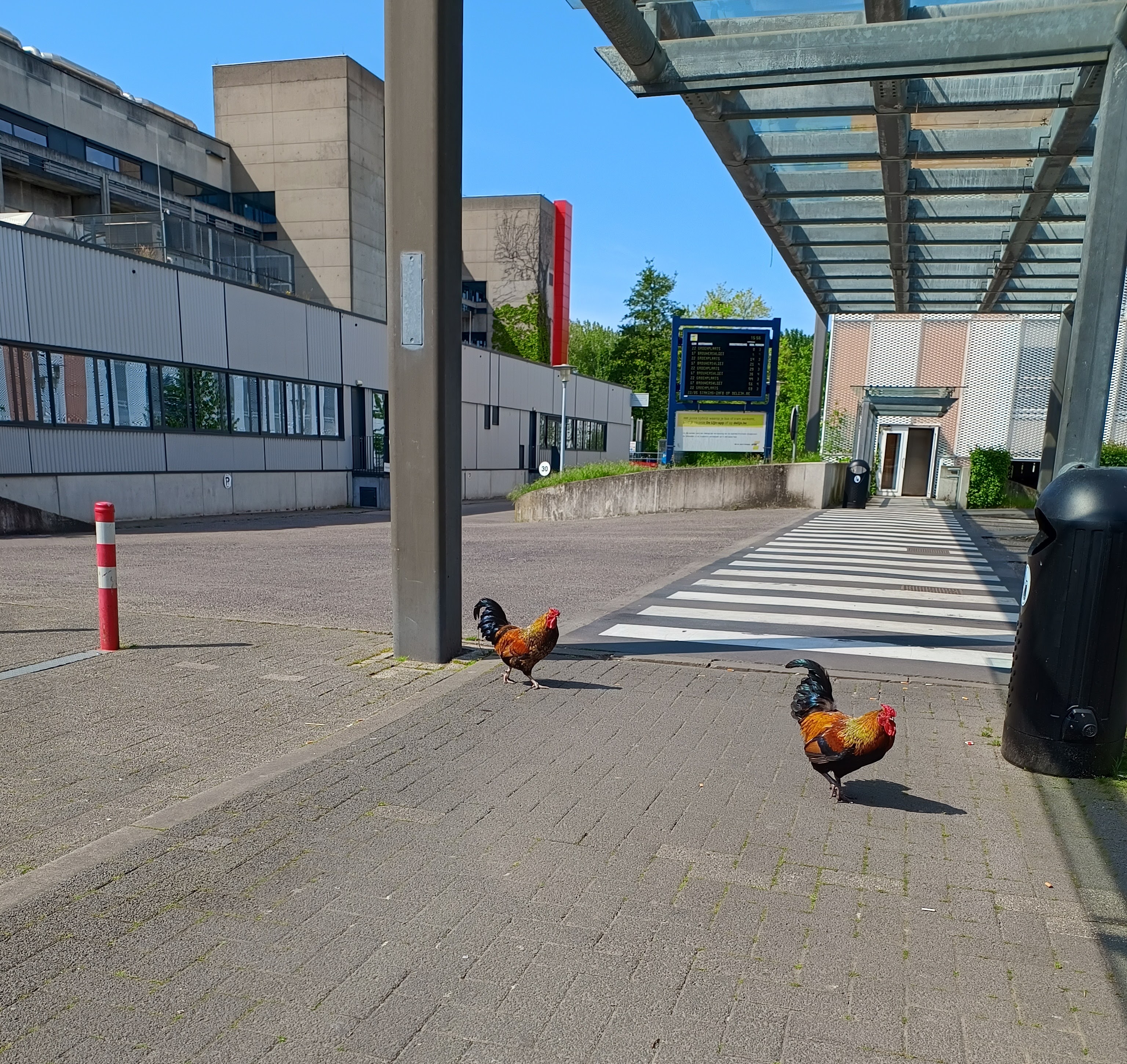 Galaxy AI object verwijderen