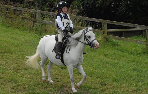 Poppy 5 doing her first ODE at pony club camp with Star