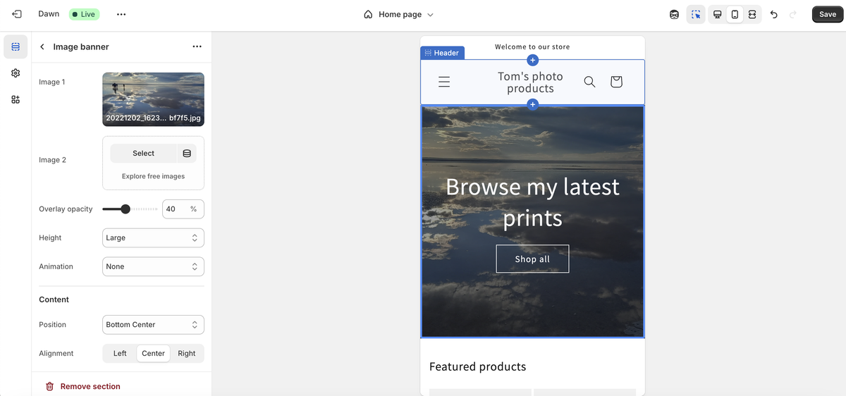 Screenshot of Shopify interface