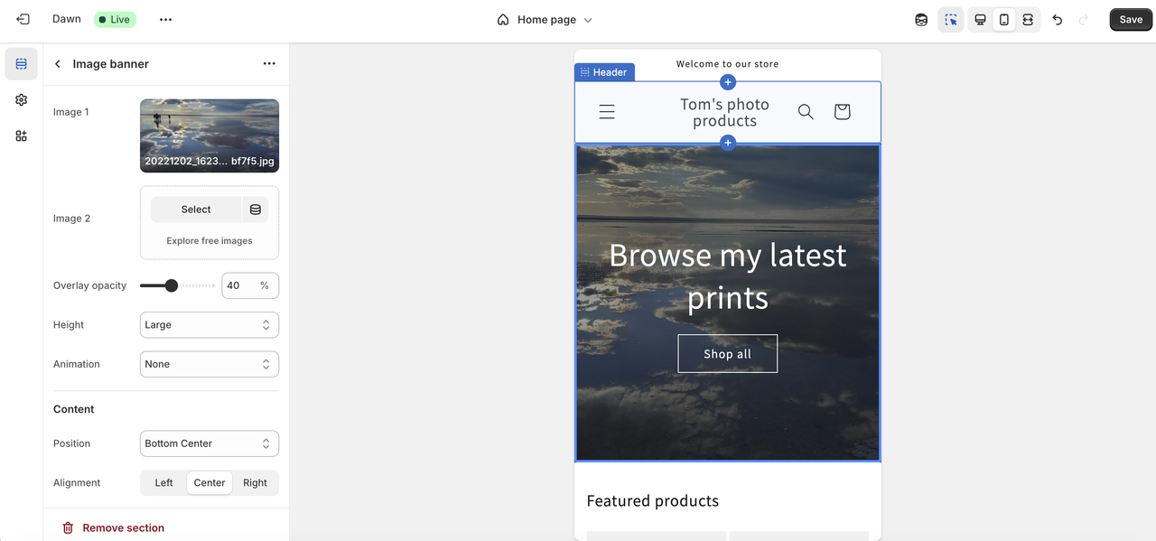 Screenshot of Shopify interface