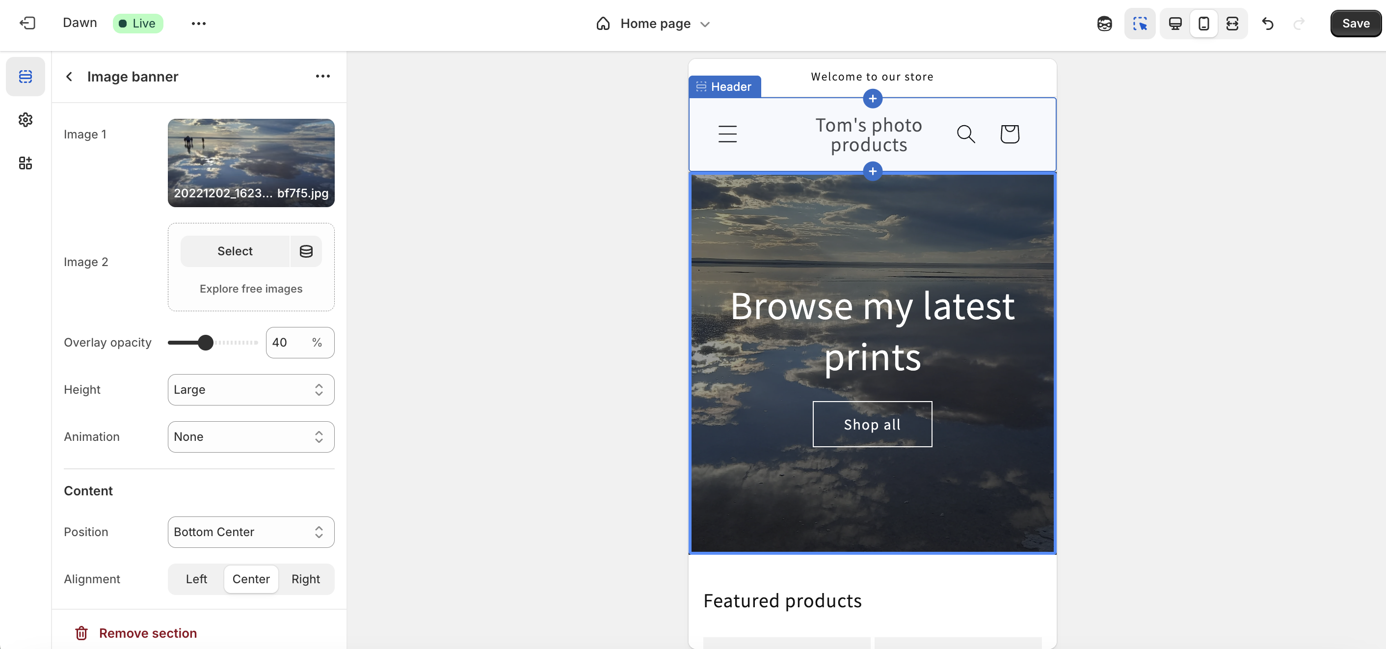 Screenshot of Shopify interface