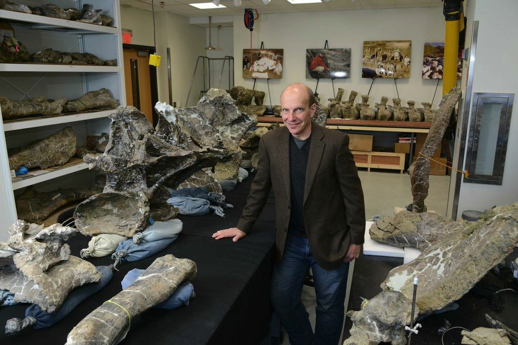 Fossils Galore