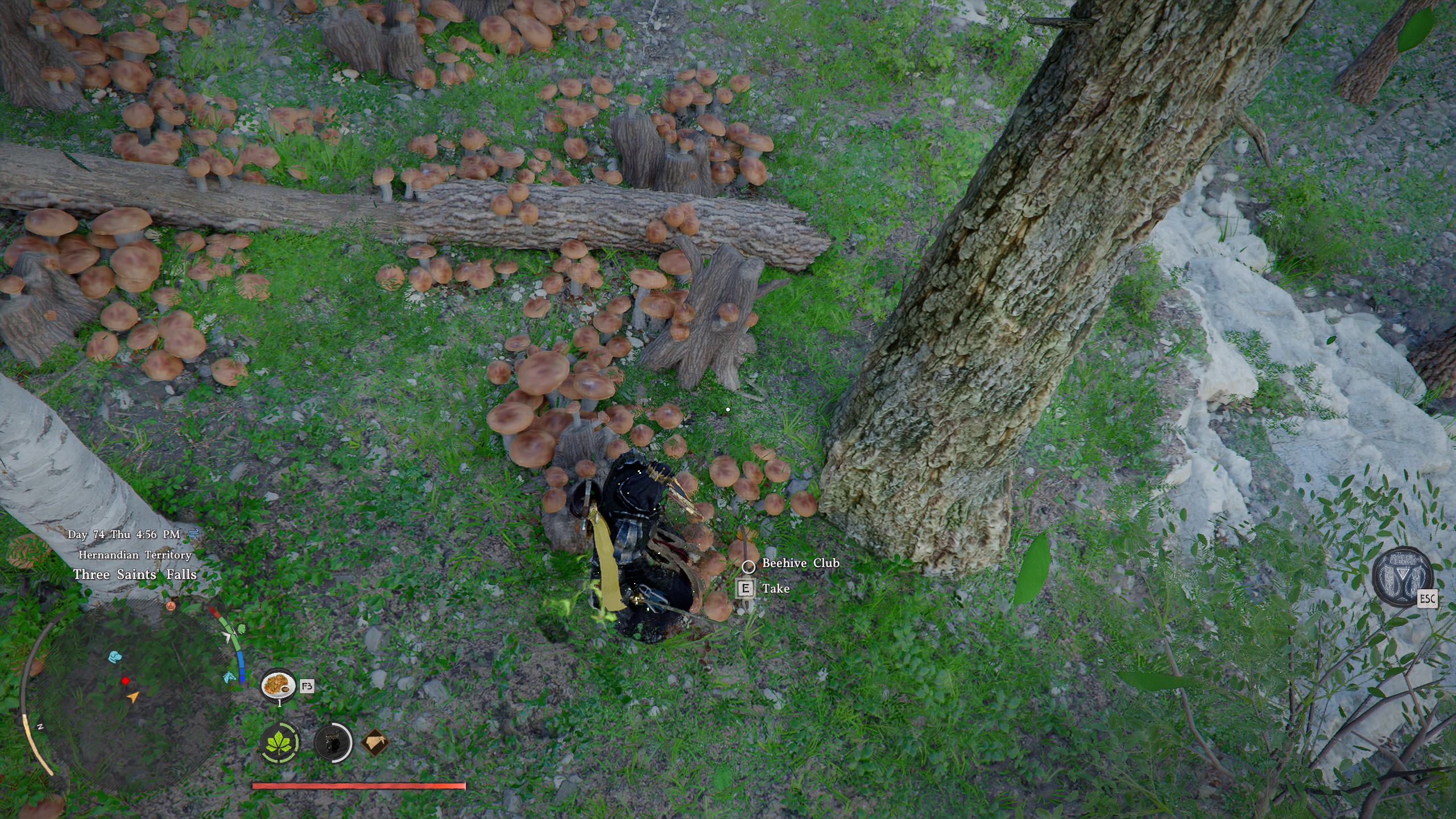 Crimson Desert Beehive Club