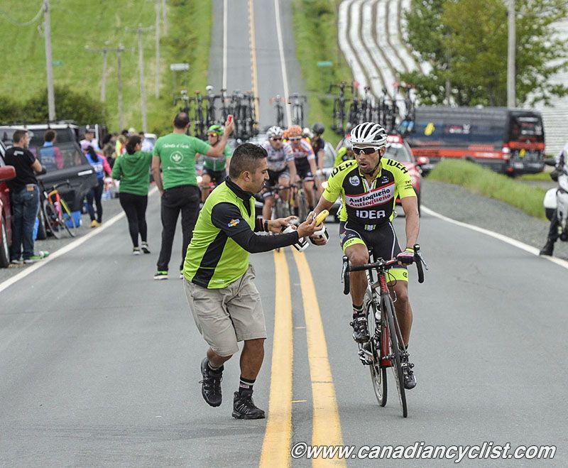 The feedzone