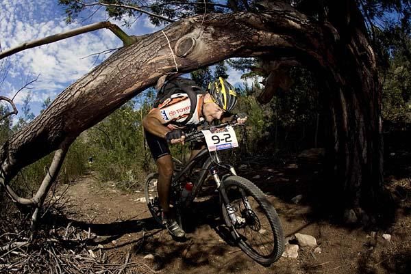A riders ducks under a low branch.
