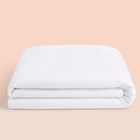 Waterproof Mattress Protector | From $89 at Casper