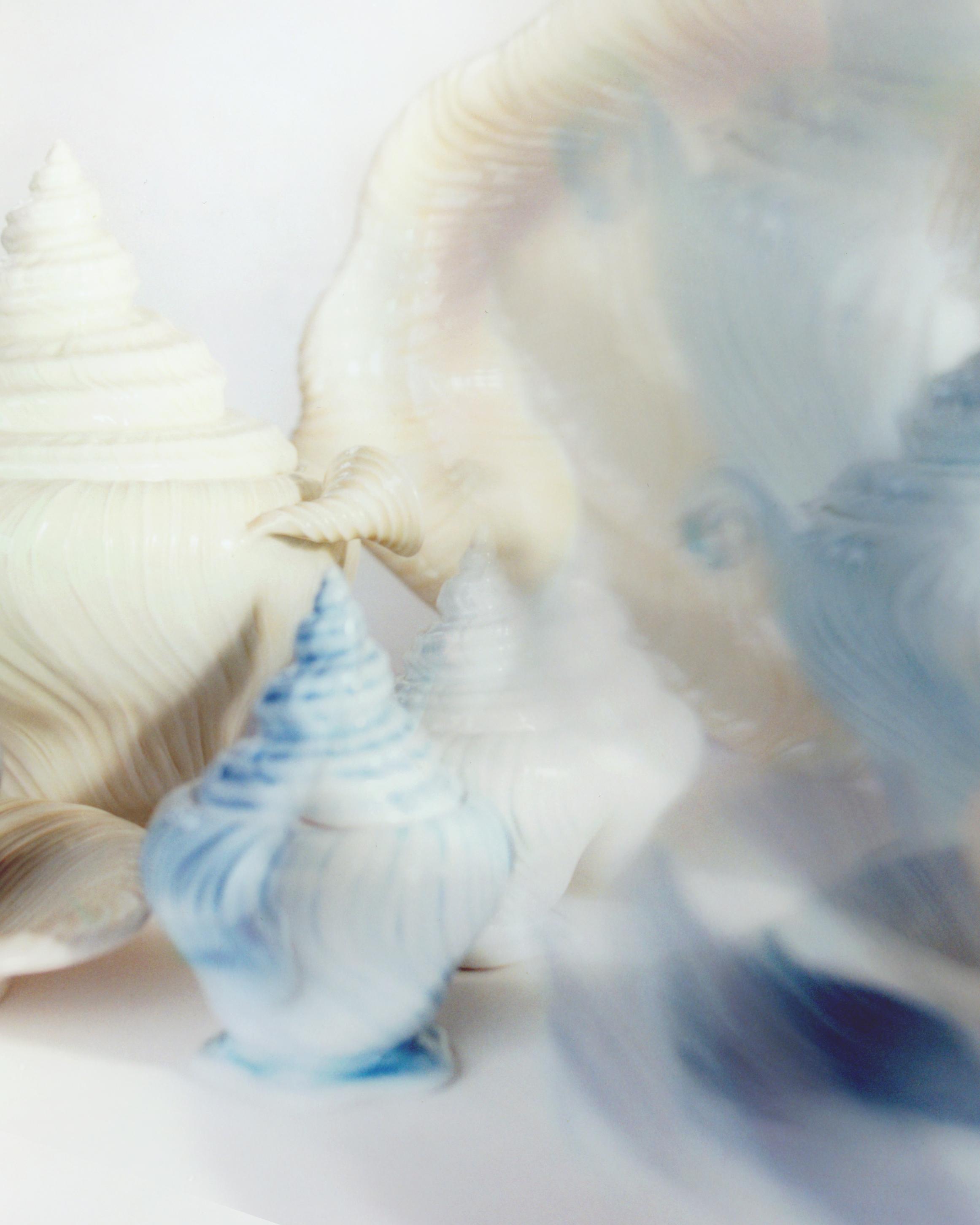Shell-shaped porcelain vessels