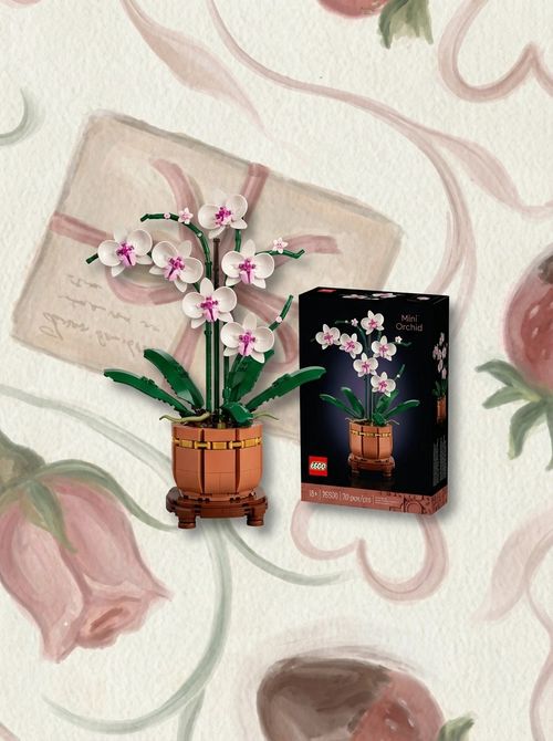 Botanicals Mini Orchid