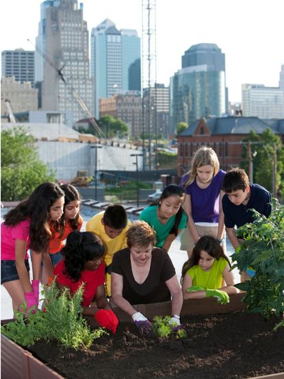 Gardener Showing Children How To Plant In A Garden