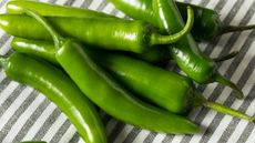 Raw green serrano peppers laid out on a striped table cloth ready to use