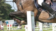 horse shows covid rules wales