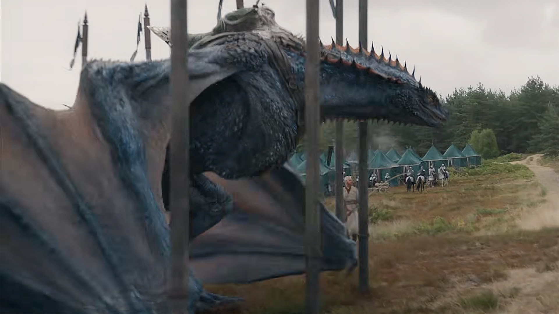 Tessarion in a field surrounded by wooden beams in House of the Dragon season 3
