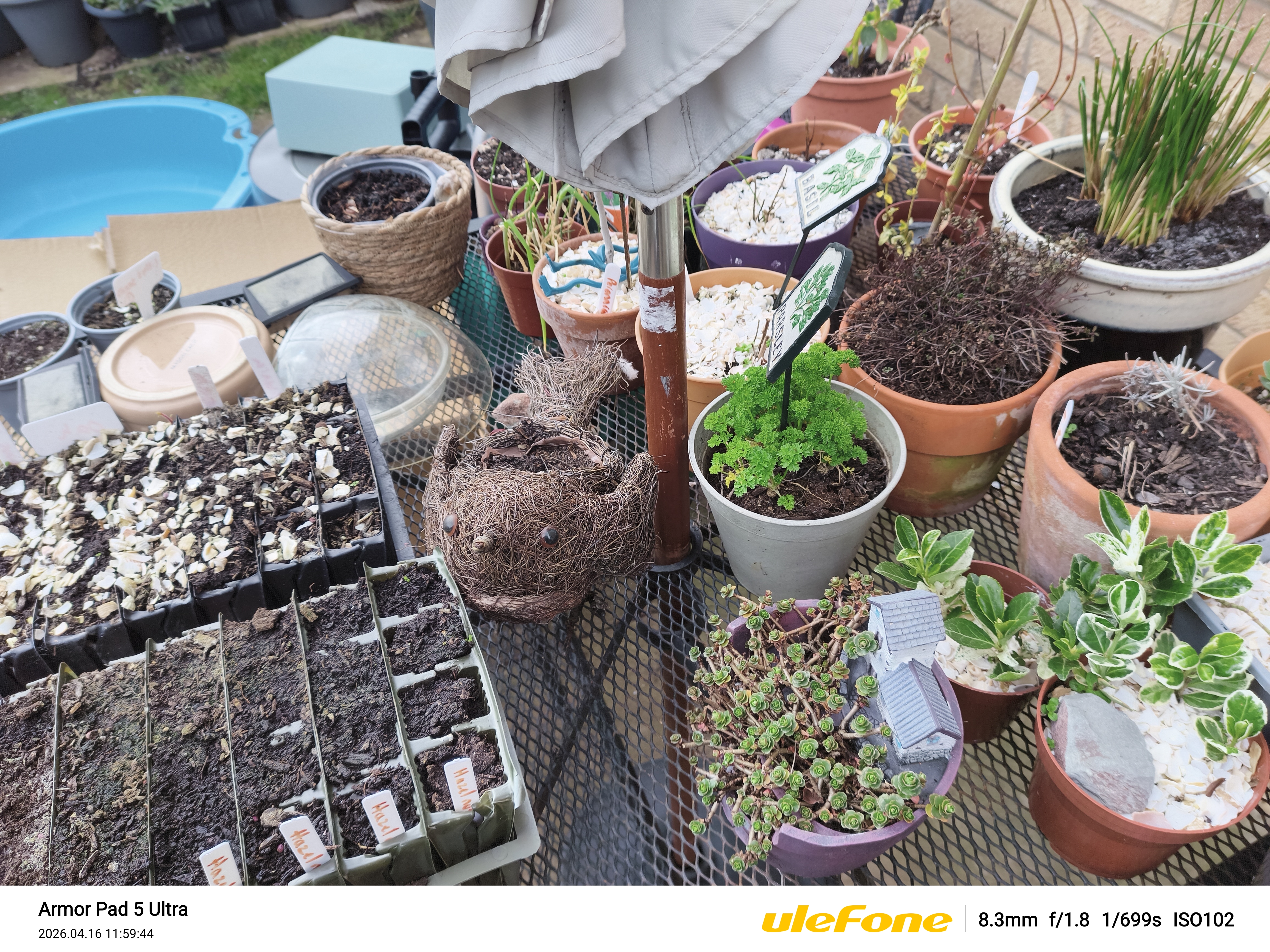 Ulefone Armor Pad 5 Ultra Photo Examples