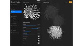 Create a Procreate brush in Adobe Firefly; a spider web brush