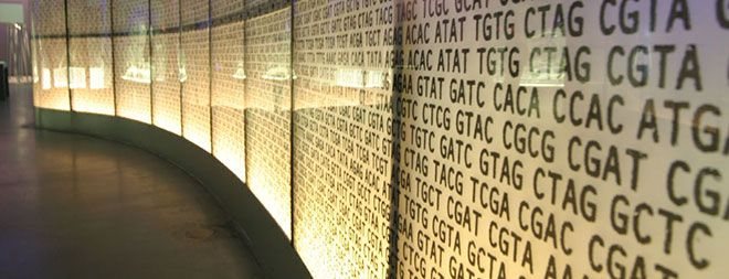 Genetic codes and dna