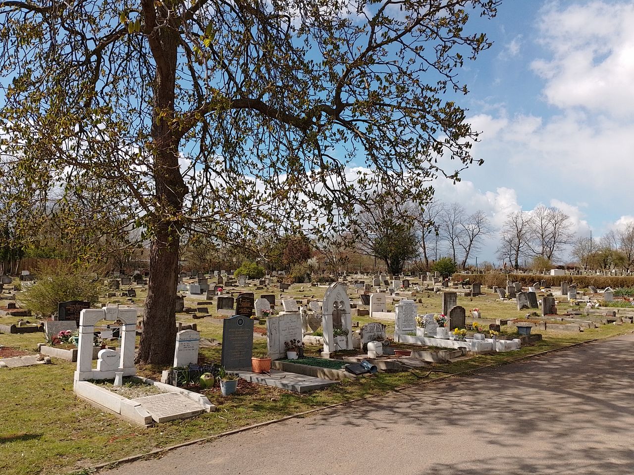 A Nokia G21 camera sample