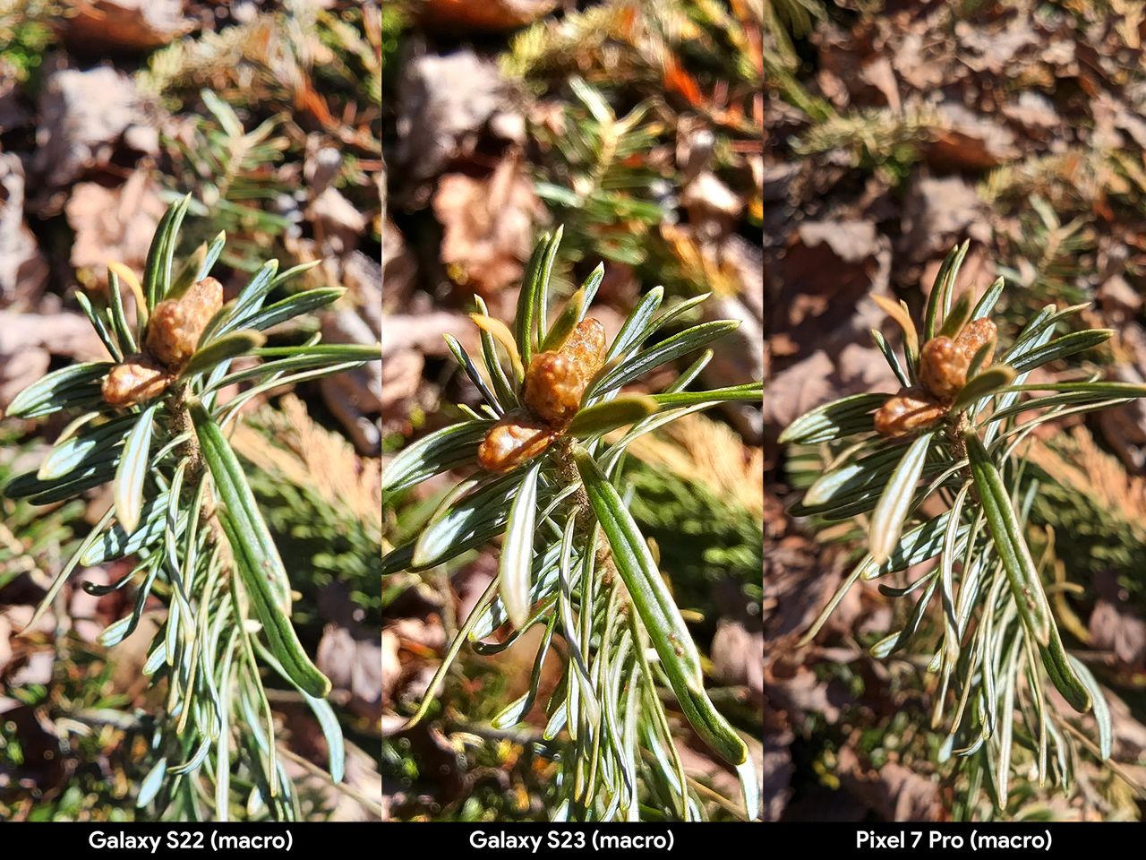Comparing macro modes with moving plants between the Galaxy S22 Ultra, Galaxy S23 Ultra, and Pixel 7 Pro