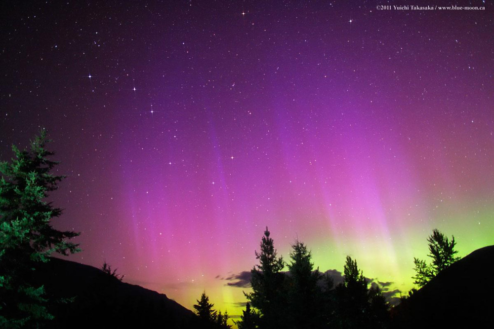 vase Kamel biologi Spectacular Skywatcher Photo Catches Deep Purple Northern Lights Show |  Space