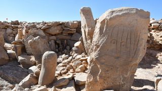 photo of the newfound shrine with a large carved stone in the foreground; the stone has human-like facial features carved into it 