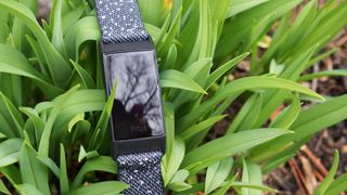 Fitbit Charge 4 sitting on long grass