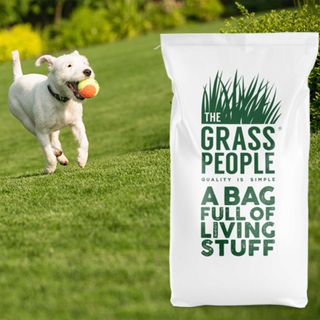 The Grass People bag of grass seed on a lawn with a white fluffy dog in shot