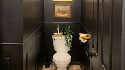 downstairs toilet with dark walls