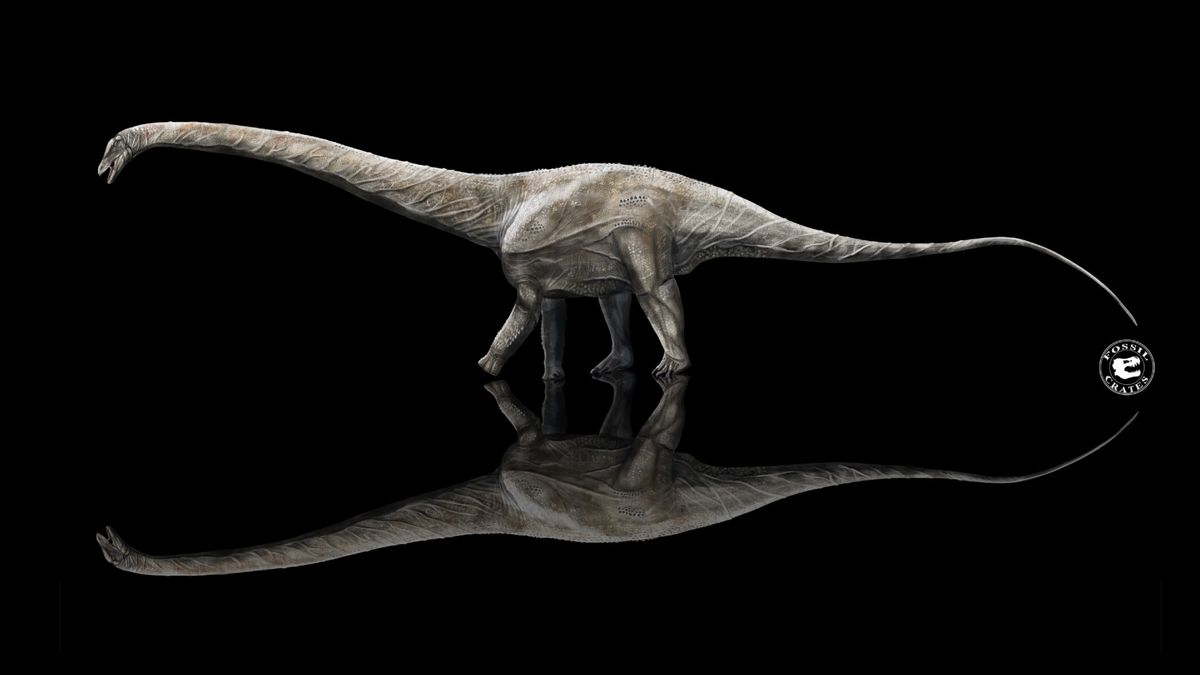 Supersaurus might be the longest dinosaur that ever lived – Livescience.com