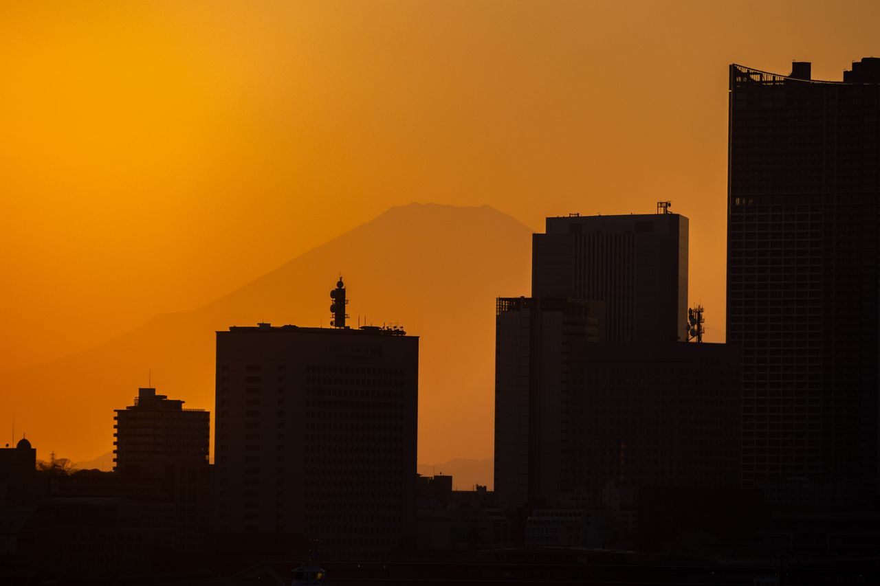 Test shot taken with Sigma 16-300mm f/3.5-7.1 | C in Tokyo Japan