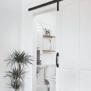 A white bathroom with a toilet and a sliding white door with a houseplant next to it