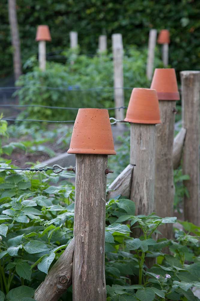 raised beds with plant pots on the supports