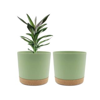 Two green plant pots, one with a plant in it